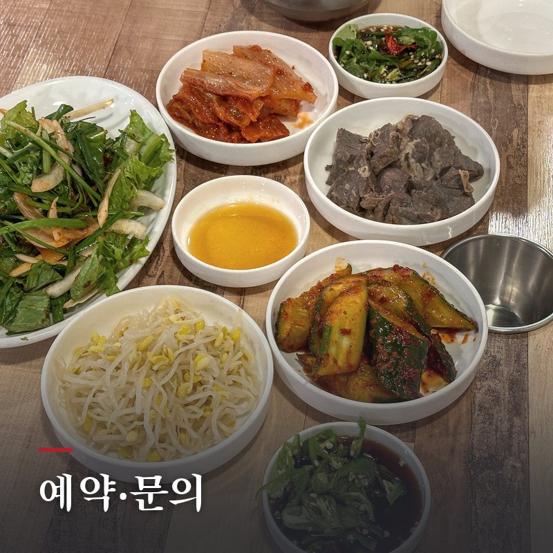 예약·문의